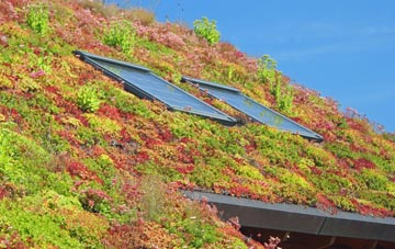 Stanford On Avon living roof systems